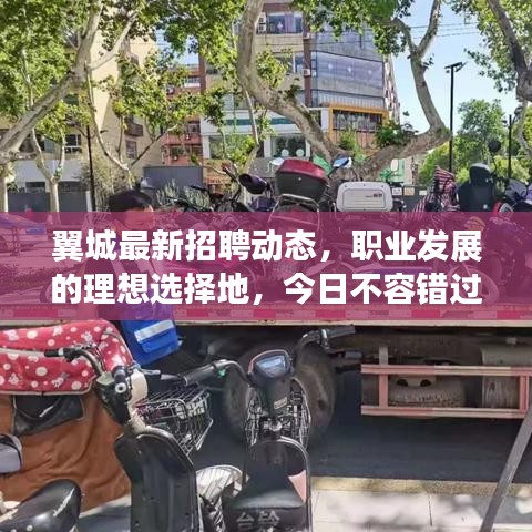 翼城最新招聘动态，职业发展的理想选择地，今日不容错过！