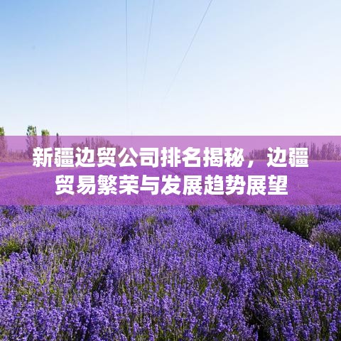 新疆边贸公司排名揭秘，边疆贸易繁荣与发展趋势展望