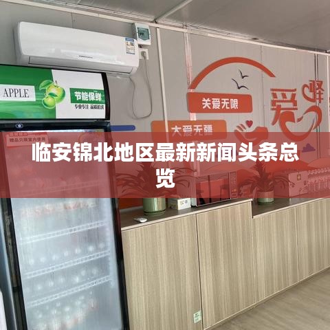 临安锦北地区最新新闻头条总览
