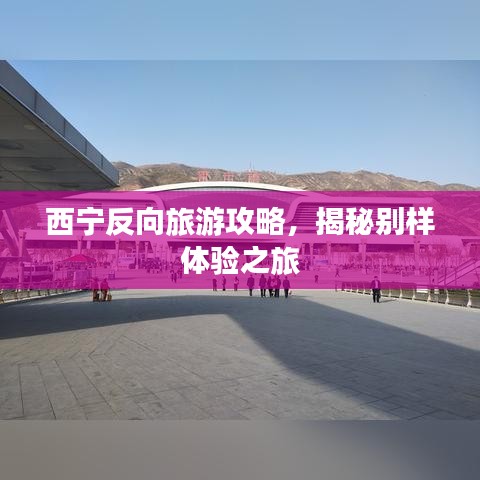 西宁反向旅游攻略，揭秘别样体验之旅