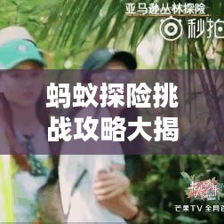蚂蚁探险挑战攻略大揭秘，未知世界的必备探索指南