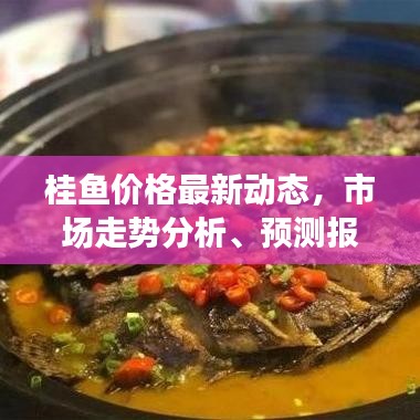 桂鱼价格最新动态，市场走势分析、预测报告揭秘