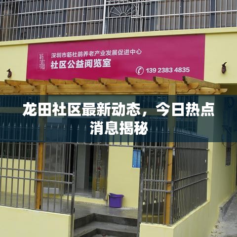 龙田社区最新动态，今日热点消息揭秘