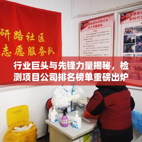 行业巨头与先锋力量揭秘，检测项目公司排名榜单重磅出炉！