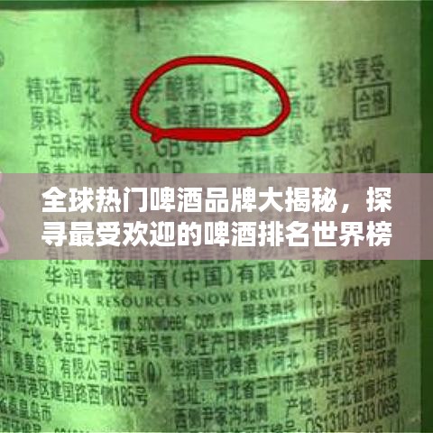 全球热门啤酒品牌大揭秘，探寻最受欢迎的啤酒排名世界榜单