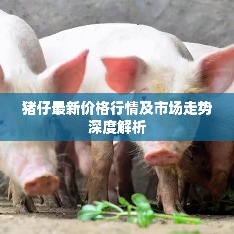 猪仔最新价格行情及市场走势深度解析