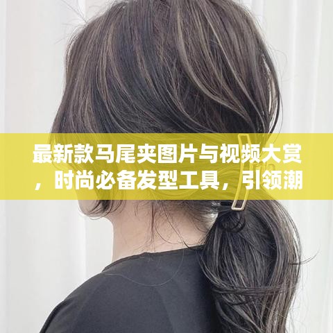 最新款马尾夹图片与视频大赏，时尚必备发型工具，引领潮流新风尚