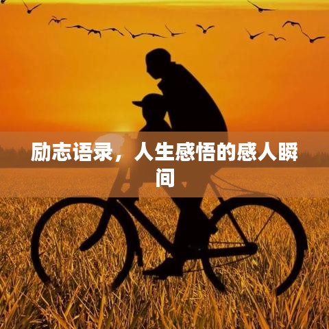 励志语录，人生感悟的感人瞬间