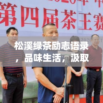 松溪绿茶励志语录，品味生活，汲取力量，追求梦想！