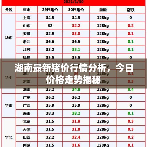 湖南最新猪价行情分析，今日价格走势揭秘