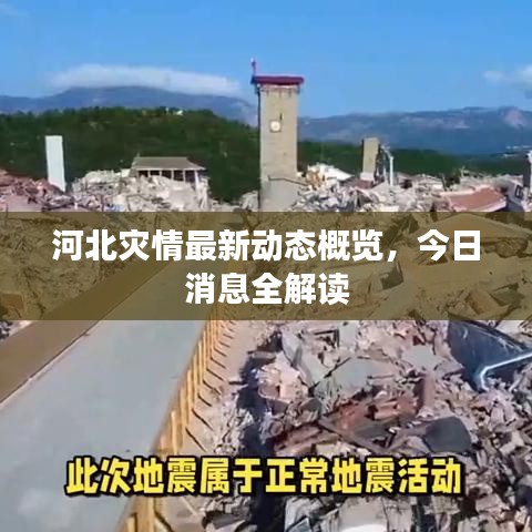 河北灾情最新动态概览，今日消息全解读