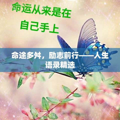命途多舛，励志前行——人生语录精选