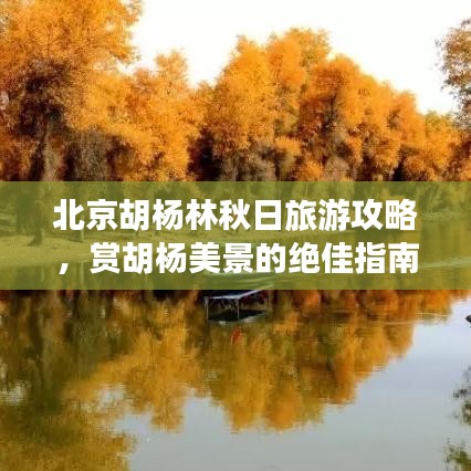 北京胡杨林秋日旅游攻略，赏胡杨美景的绝佳指南