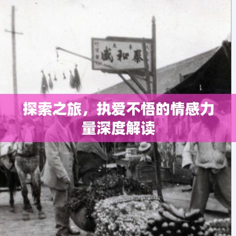 探索之旅，执爱不悟的情感力量深度解读
