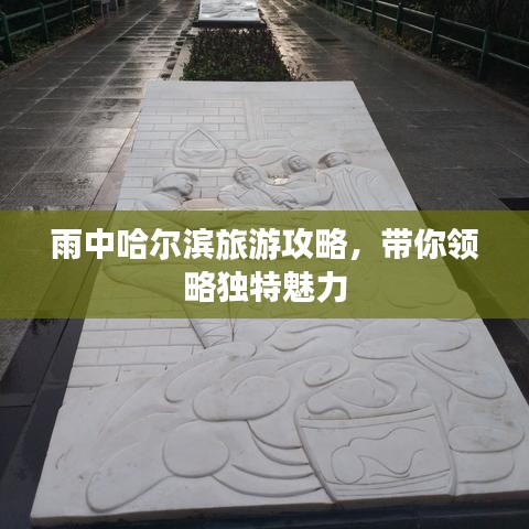 雨中哈尔滨旅游攻略，带你领略独特魅力