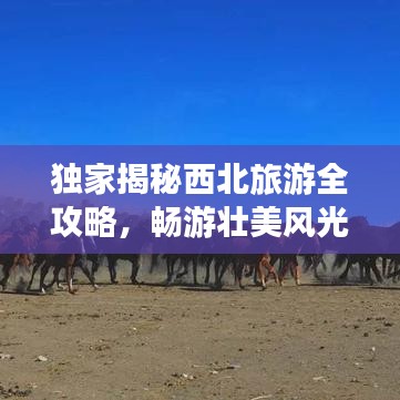 独家揭秘西北旅游全攻略，畅游壮美风光，一网打尽绝美风景！