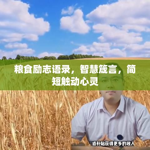 粮食励志语录，智慧箴言，简短触动心灵