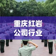 重庆红岩公司行业地位与影响力排名揭秘