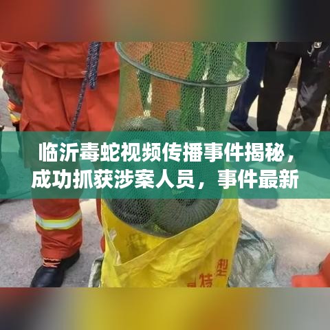 临沂毒蛇视频传播事件揭秘，成功抓获涉案人员，事件最新进展报道