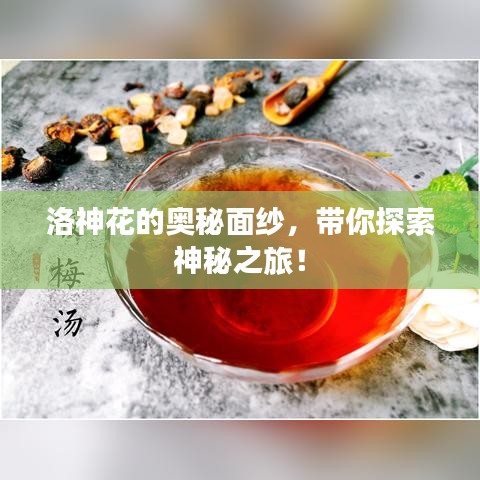 洛神花的奥秘面纱，带你探索神秘之旅！