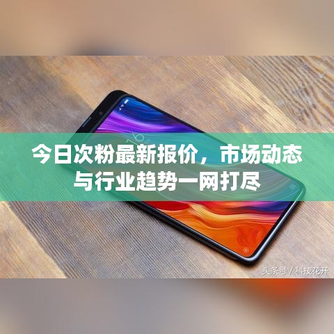 今日次粉最新报价，市场动态与行业趋势一网打尽