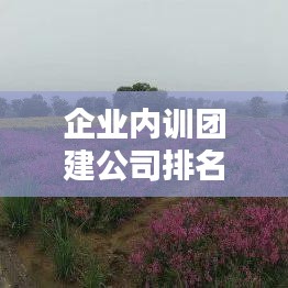 企业内训团建公司排名榜揭晓，行业领军者一览无余