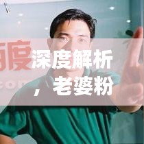 深度解析，老婆粉背后的故事，带你了解百度背后的秘密！