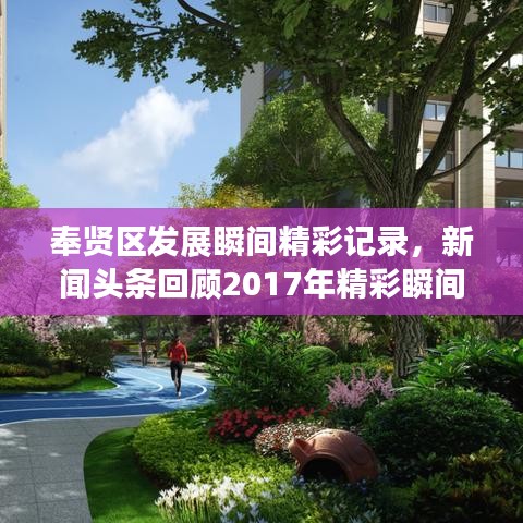 奉贤区发展瞬间精彩记录，新闻头条回顾2017年精彩瞬间