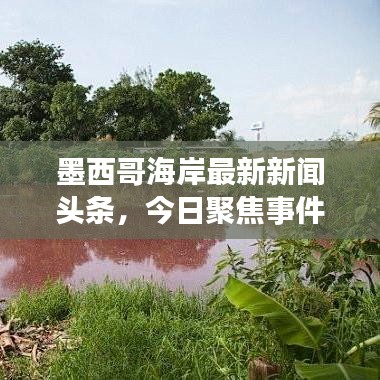 墨西哥海岸最新新闻头条，今日聚焦事件汇总