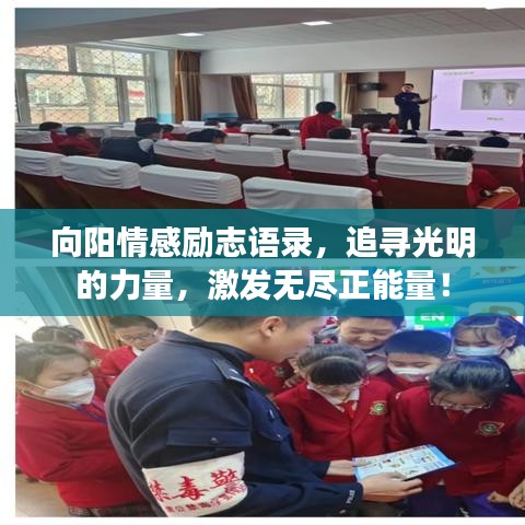 向阳情感励志语录，追寻光明的力量，激发无尽正能量！