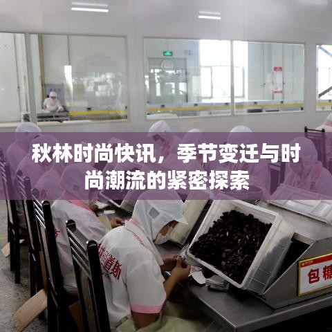 秋林时尚快讯，季节变迁与时尚潮流的紧密探索