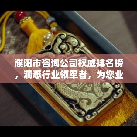 濮阳市咨询公司权威排名榜，洞悉行业领军者，为您业务保驾护航