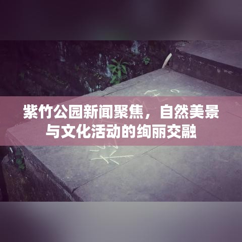 紫竹公园新闻聚焦，自然美景与文化活动的绚丽交融