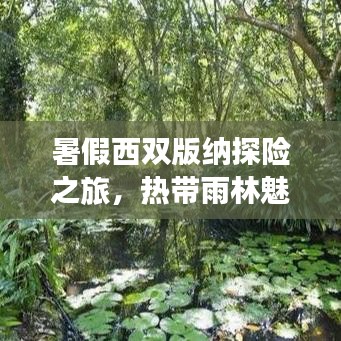 暑假西双版纳探险之旅，热带雨林魅力全攻略