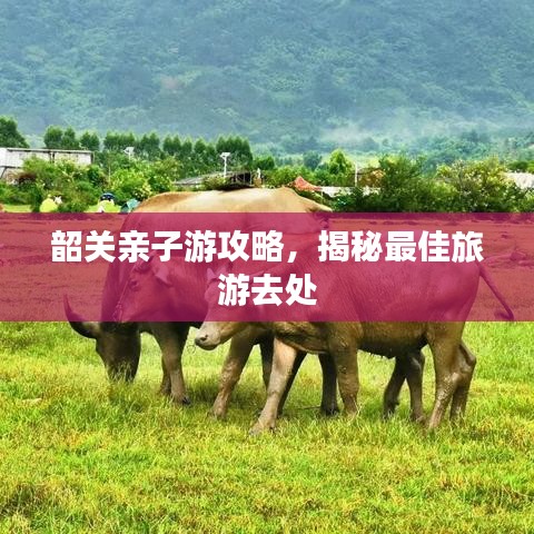 韶关亲子游攻略，揭秘最佳旅游去处