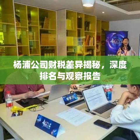 杨浦公司财税差异揭秘，深度排名与观察报告