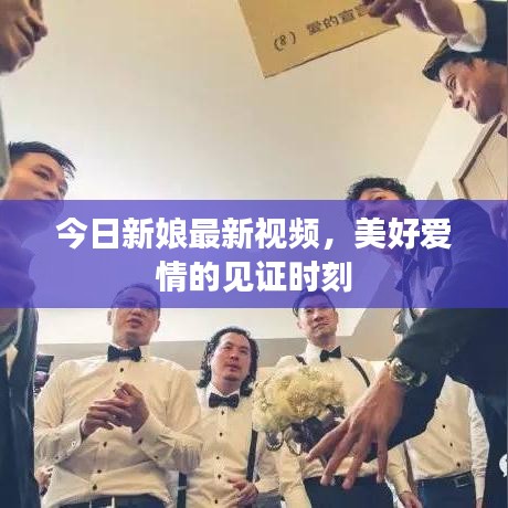 今日新娘最新视频，美好爱情的见证时刻