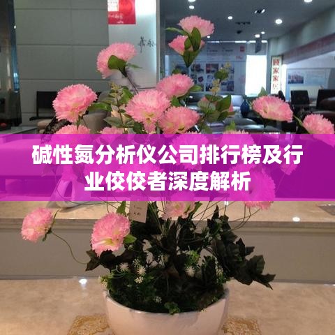 碱性氮分析仪公司排行榜及行业佼佼者深度解析