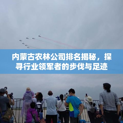 内蒙古农林公司排名揭秘，探寻行业领军者的步伐与足迹