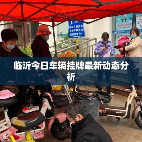 临沂今日车辆挂牌最新动态分析