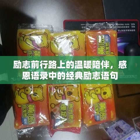 励志前行路上的温暖陪伴，感恩语录中的经典励志语句