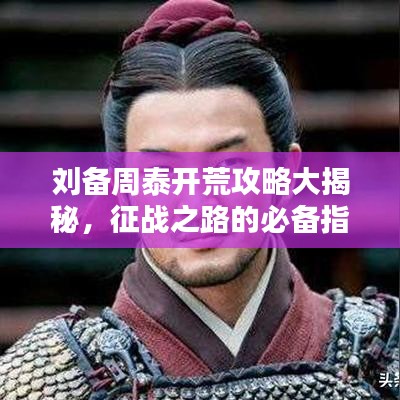 刘备周泰开荒攻略大揭秘，征战之路的必备指南！