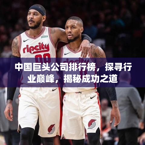 中国巨头公司排行榜，探寻行业巅峰，揭秘成功之道