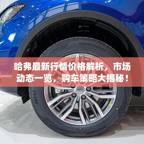 哈弗最新行情价格解析，市场动态一览，购车策略大揭秘！