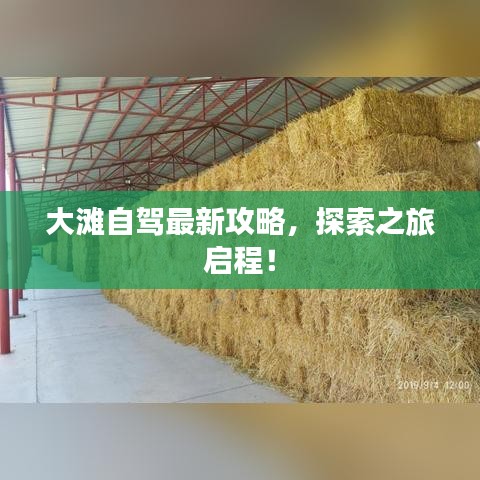大滩自驾最新攻略，探索之旅启程！