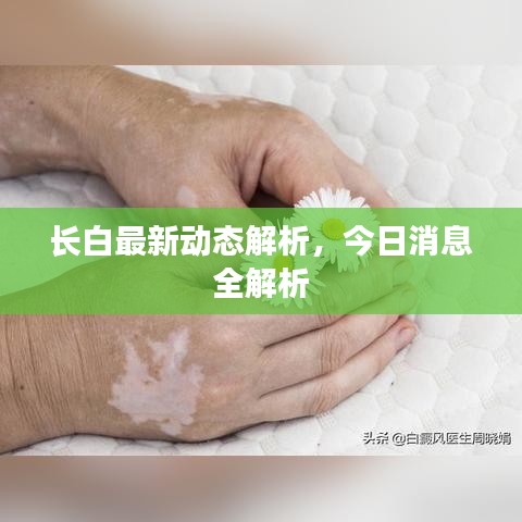 长白最新动态解析，今日消息全解析
