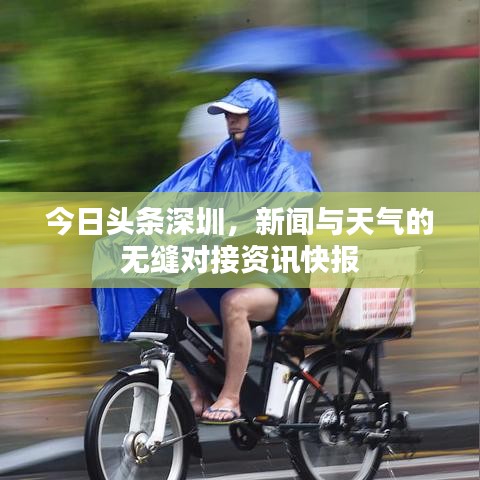 今日头条深圳，新闻与天气的无缝对接资讯快报