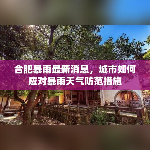 合肥暴雨最新消息，城市如何应对暴雨天气防范措施