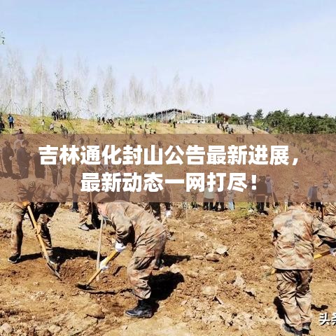 吉林通化封山公告最新进展，最新动态一网打尽！
