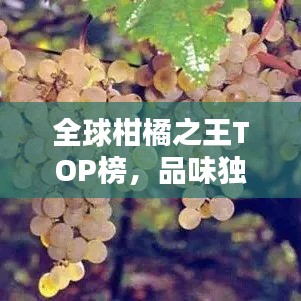 全球柑橘之王TOP榜，品味独特魅力，探寻柑橘之最！